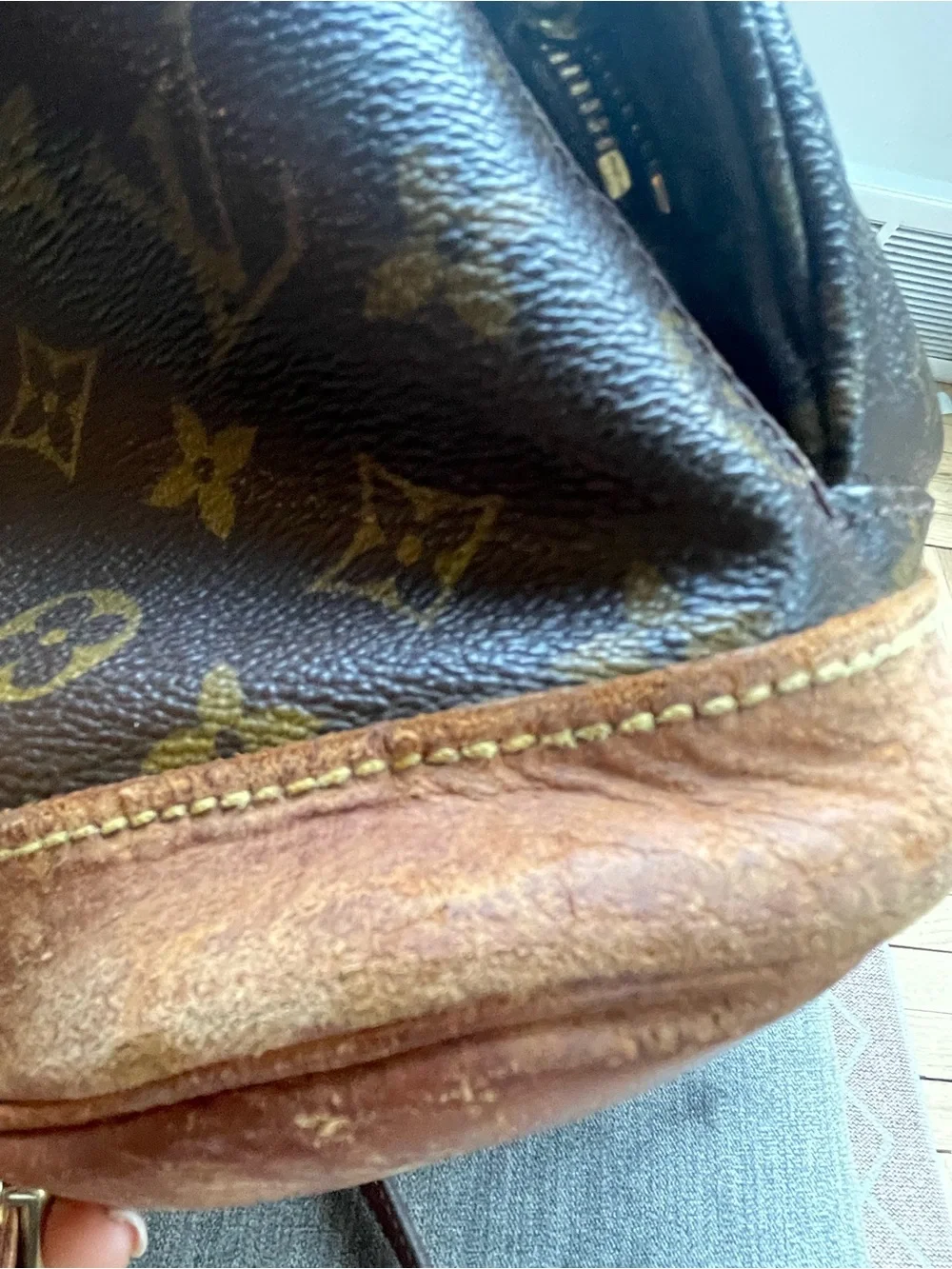 Louis Vuitton iconic lv